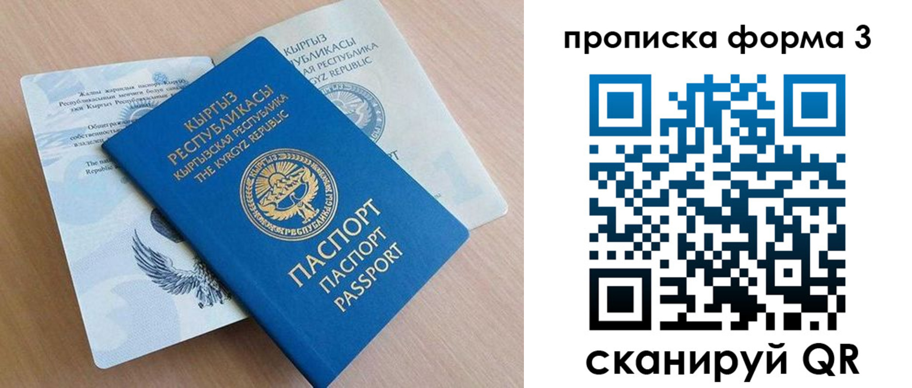 где прописаться в Смоленской области