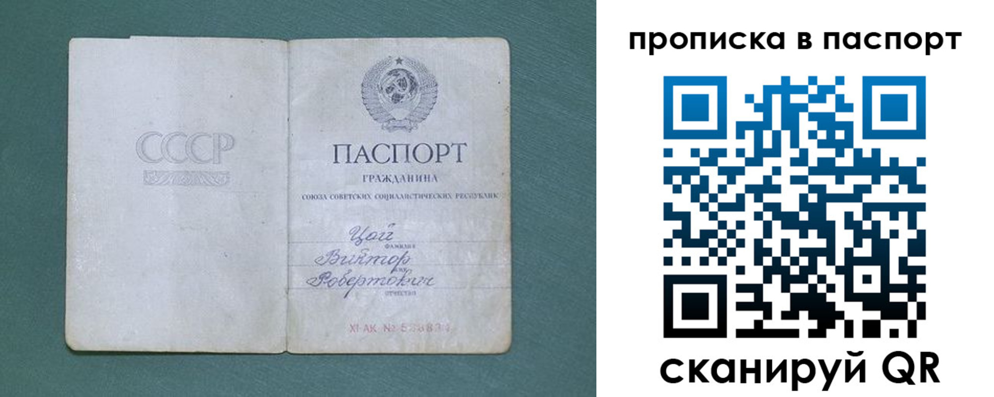 пропишу в квартире в Смоленской области